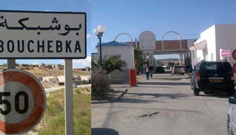 تبسة.. شرطة الحدود توقف تونسية وتسترجع مركبة مبحوث عنها من طرف الأنتربول
