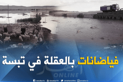 بالفيديو والصور.. فيضانات تخلف خسائر معتبرة بالعقلة في تبسة