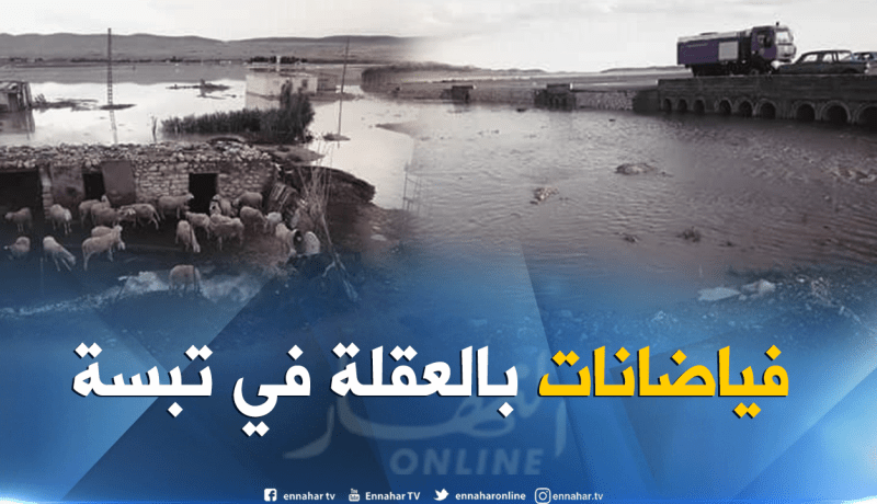 بالفيديو والصور.. فيضانات تخلف خسائر معتبرة بالعقلة في تبسة
