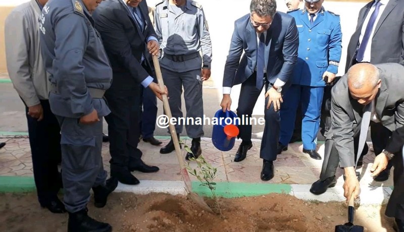 تبسة.. باحميد يغرس شجرة زيتون تبركا بالمقر الجديد للجمارك