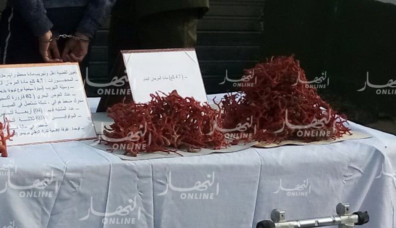 تبسة.. حجز 4 كيلوغرام من المرجان
