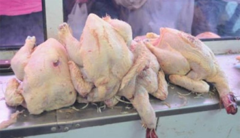 حجز 10 قناطير من لحم الدجاج الفاسد بمؤسسات تربوية في تبسة