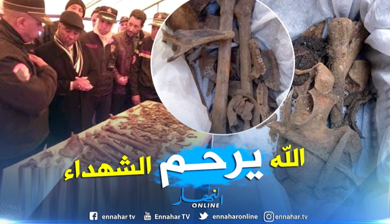 بالصور.. انتهاء عملية استخراج رفاة شهداء الثورة من مغارة ڨارة السنون في تبسة