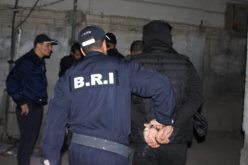 تبسة: معالجة 14 قضية تتعلق بتهريب ونقل وتخزين وترويج المؤثرات العقلية