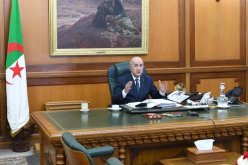 الرئيس تبون: لا أمانع أن تقوم المفتشية العامة للمالية بالتحقيق في حسابات الرئاسة