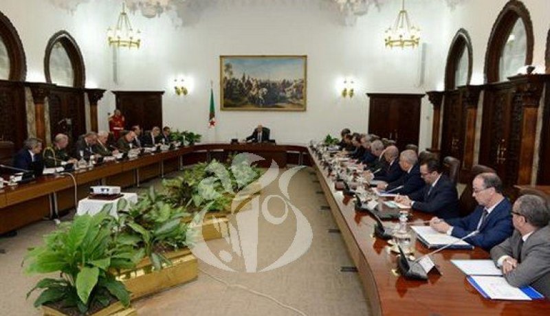 الرئيس تبون يستهجن الأصوات الناعقة التي تروج الشائعات المغرضة