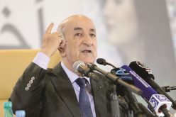 الرئيس تبون: الحل في مالي سيكون جزائريا 90 بالمئة