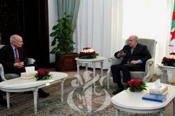 أبو الغيط: القمة العربية قبل نهاية جوان المقبل بعد موافقة الرئيس تبون