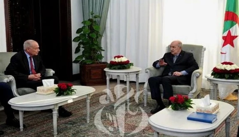 أبو الغيط: القمة العربية قبل نهاية جوان المقبل بعد موافقة الرئيس تبون