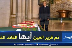 تبون يرثي الفريق أحمد قايد صالح