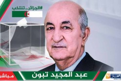 تبون: المواد القانونية التي أقصت المغتربين من بعض المسؤوليات ستتم مراجعتها