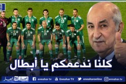 الرئيس تبون يهنىء الخضر بتحقيق 24 مباراة متتالية بلا إنهزام