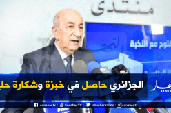 تبون: لولا الله وقيادة الجيش لسالت وديان من الدماء