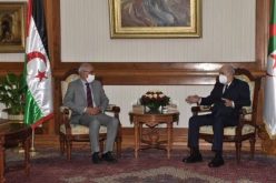 الرئيس تبون يتلقى رسالة تهنئة من نظيره الصحراوي بمناسبة عيد الإستقلال