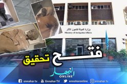 مصر تحقق في فيديو لجزائري أهان فرعون في “قبره”!