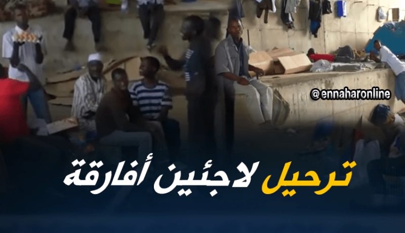 هجرة غير شرعية: ترحيل 272 شخص من عنابة إلى مركز الحدود لتمنراست.. التفاصيل
