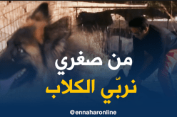 ترويض الكلاب.. فكرة مميزة محفوفة بالمخاطر