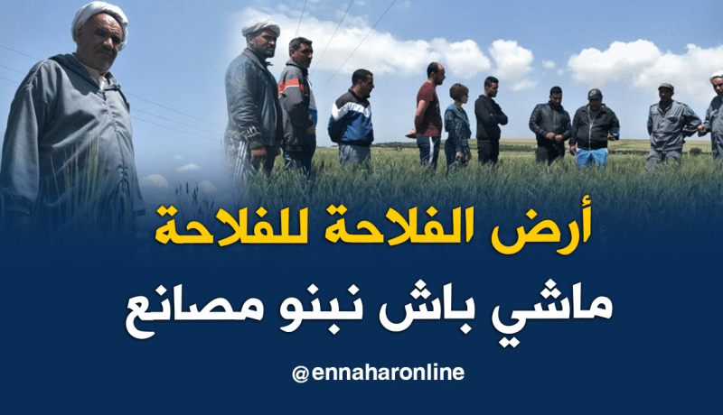 بالفيديو.. شاهد ما قاله فلاح انتزعت منه أراضيه الفلاحية لإنجاز مصنع