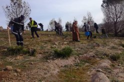 سوناطراك: مشروع نموذجي لغرس 10 ملايين شجيرة لإحتجاز الكربون