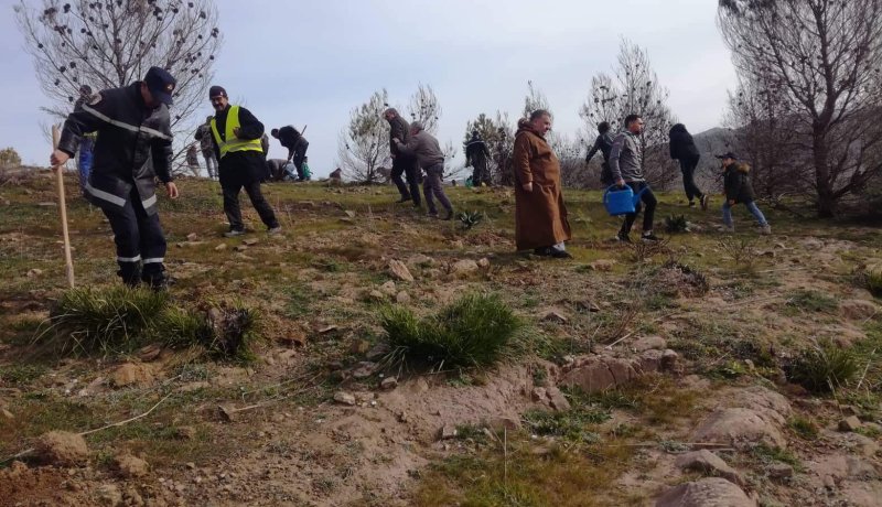 سوناطراك: مشروع نموذجي لغرس 10 ملايين شجيرة لإحتجاز الكربون