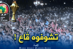 شاشة عملاقة في “واڤنوني” لعشاق محاربي الصحراء