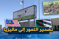 تصدير 22 طنًا من تمور الوادي نحو ماليزيا