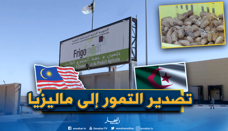 تصدير 22 طنًا من تمور الوادي نحو ماليزيا