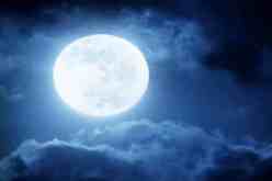 أخذت من القمر نبته طبية… قد تبشرين بميلاد طبيبة