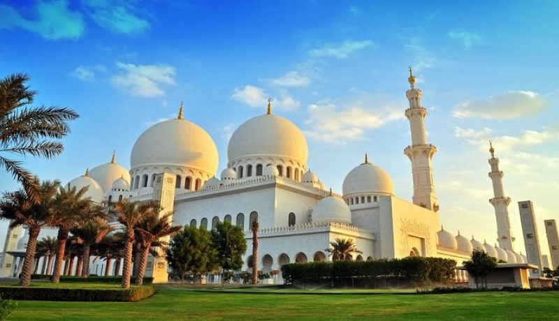 توقفوا عن تكوين أجيال بلا ضمير ولا روح إنسانية