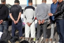 تبسة.. عصابة الاعتداءات بالكلاب المدربة في قبضة الأمن
