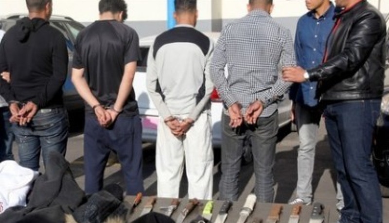 تبسة.. عصابة الاعتداءات بالكلاب المدربة في قبضة الأمن