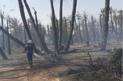بالصور.. حريق يأتي على أكثر من 1600 نخلة بولاد عيسى في تمنراست