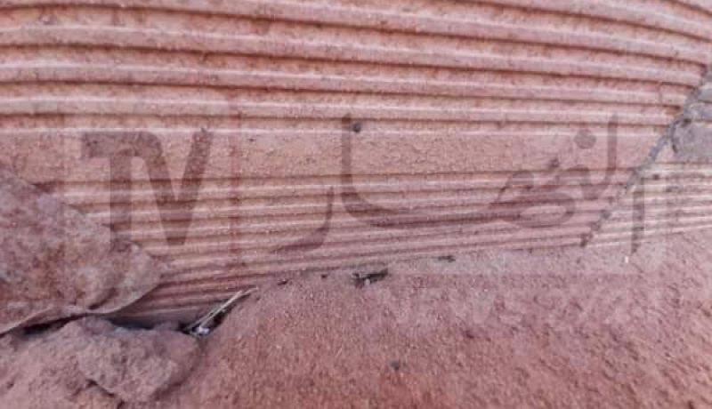 سكان عين صالح بتمنراست يشتكون من انتشار حشرة “اڨراض”