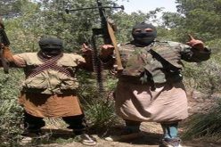 ليبيا تفرج عن أبناء “دواعش” تونس