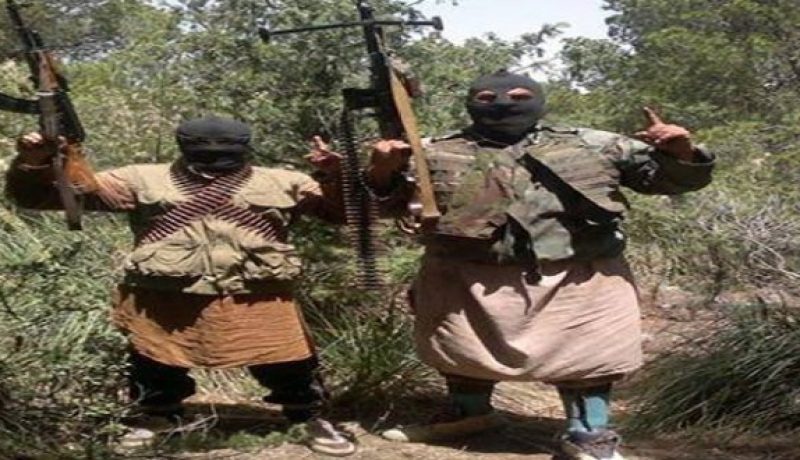 ليبيا تفرج عن أبناء “دواعش” تونس