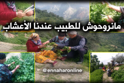 التداوي بالأعشاب بديل طبي في قرى تيزي وزو