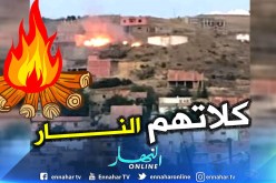 تيسمسيلت.. إندلاع عدد من الحرائق في مناطق متفرقة من الولاية