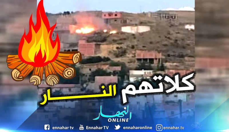 تيسمسيلت.. إندلاع عدد من الحرائق في مناطق متفرقة من الولاية