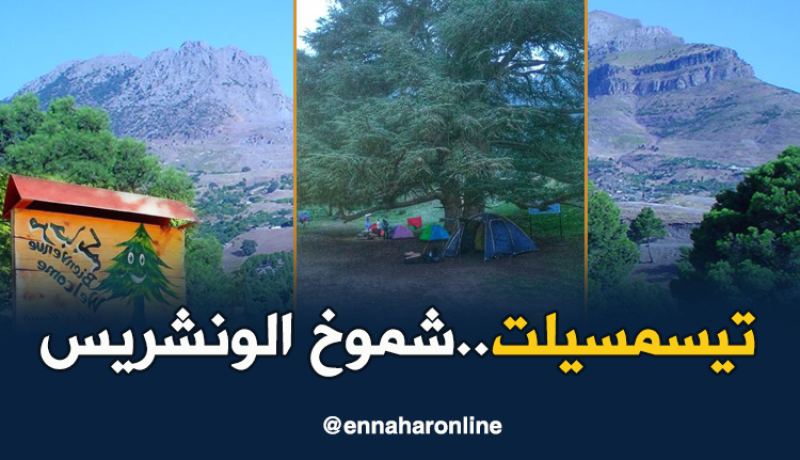 بالفيديو.. الخرجة الوطنية الثانية لإستكشاف الونشريس بتيسمسيلت