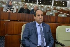 تيغرسي:”إلغاء قاعدة 49 / 51 غير كافٍ لجلب الاستثمار”