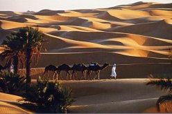«وكالات أجنبية لجلب السيّاح من 3 بلدان أوروبية إلى الصحراء»