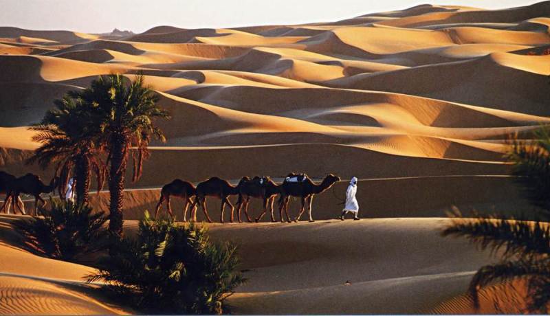 4.5 مليون سنتيم لقضاء أسبوع في فنادق الدولة في الصحراء