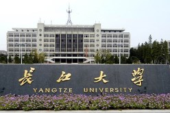 قبول 32 طالب جزائري بالجامعات الصينية هذه السنة