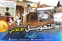 ولاية إيليزي توضح بالبرهان.. الصور المتداولة ليست من سيول جانت