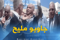 بالفيديو.. والي تيبازة “يبهدل”مسؤول المسبح الأولمبي