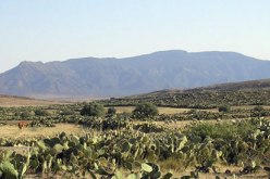 مقتل 4 جنود تونسيين إثر انفجار لغم أرضي