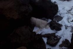 الحماية المدنية لمستغانم تصدر بيانا بخصوص الجثة التي لفظتها الأمواج بعشعاشة