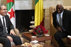 الوزير الأول يُستقبل من قبل الرئيس المالي