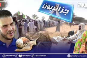 جزائريون: عائلة تعاني في صمت .. تنصيب أمنوكال الطوارق وتربية الحلزون