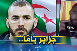 بالفيديو.. هكذا إحتفل “بن زيمة” بلقب الخضر التاريخي